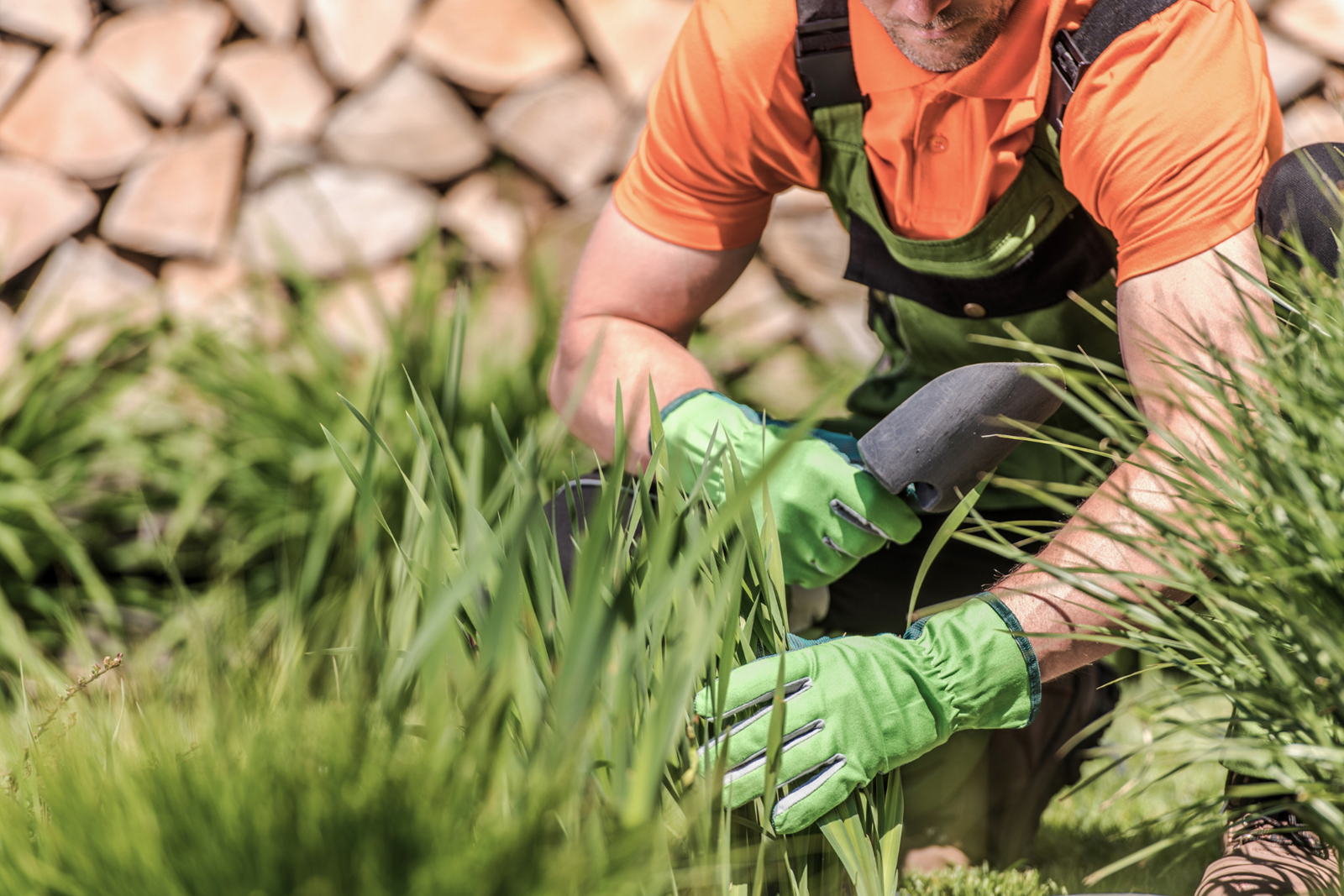 Entretien des espaces verts : préparez vos extérieurs pour le printemps